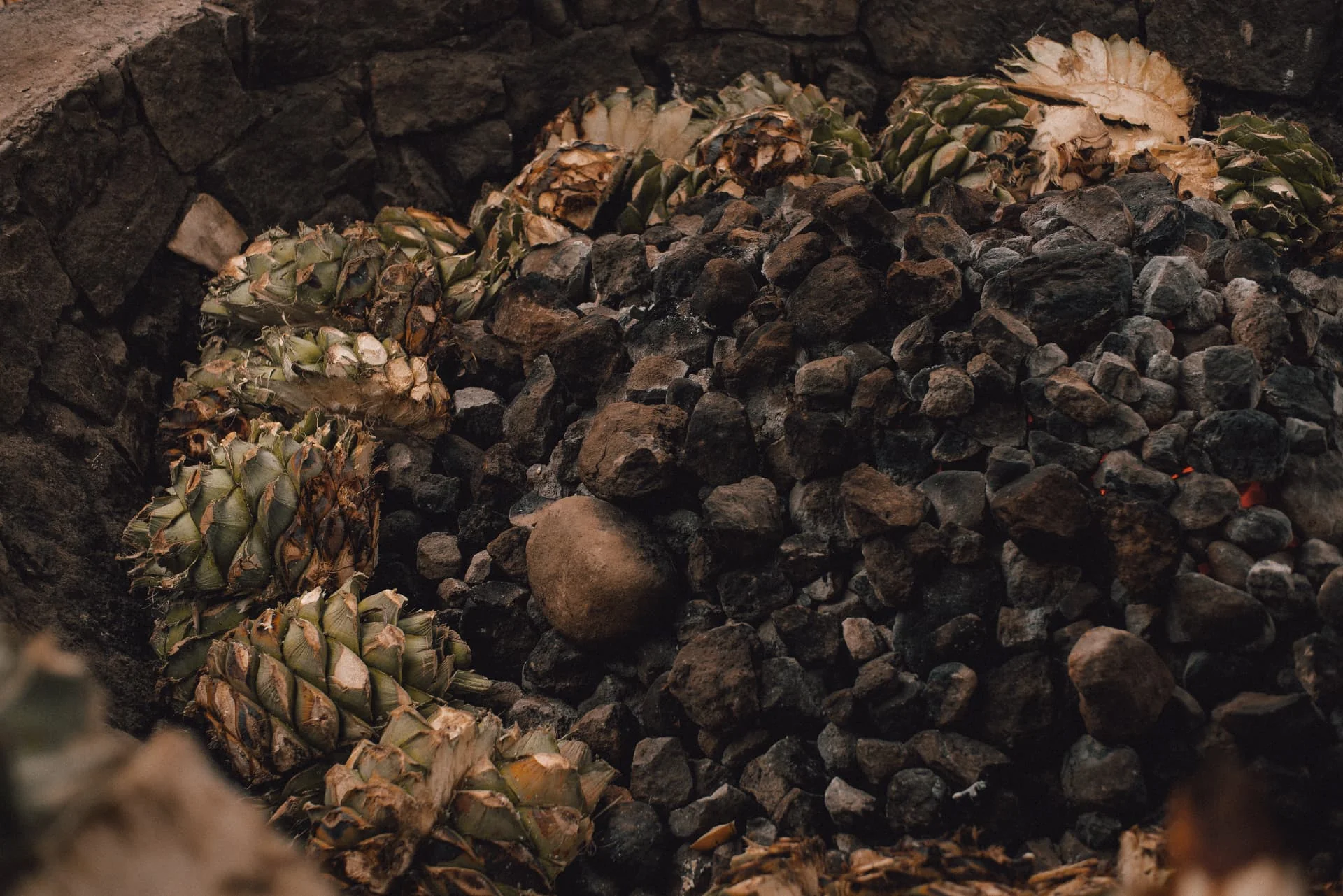 Maguey cocido en horno cónico de piedra, tradición oaxaqueña